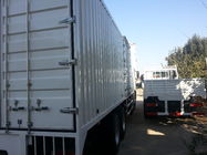Tonnen-Kapazitäts-Schwergut-LKW-Dieselkraftstoff-Art optionales Fahren des Weiß-41-50
