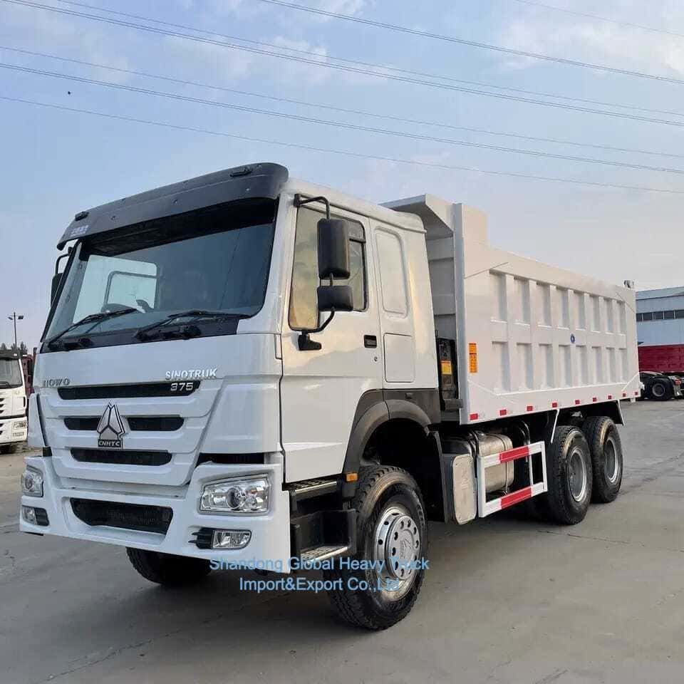 Gebrauchte 32 30 35 Tonnen Kipper Diesel LKW Sinotruck HOWO 6X4 Muldenkipper